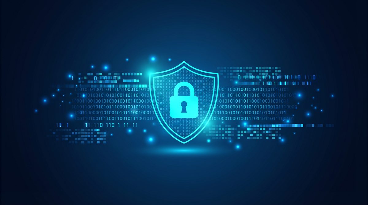 傻鸟加速器隐私安全保护